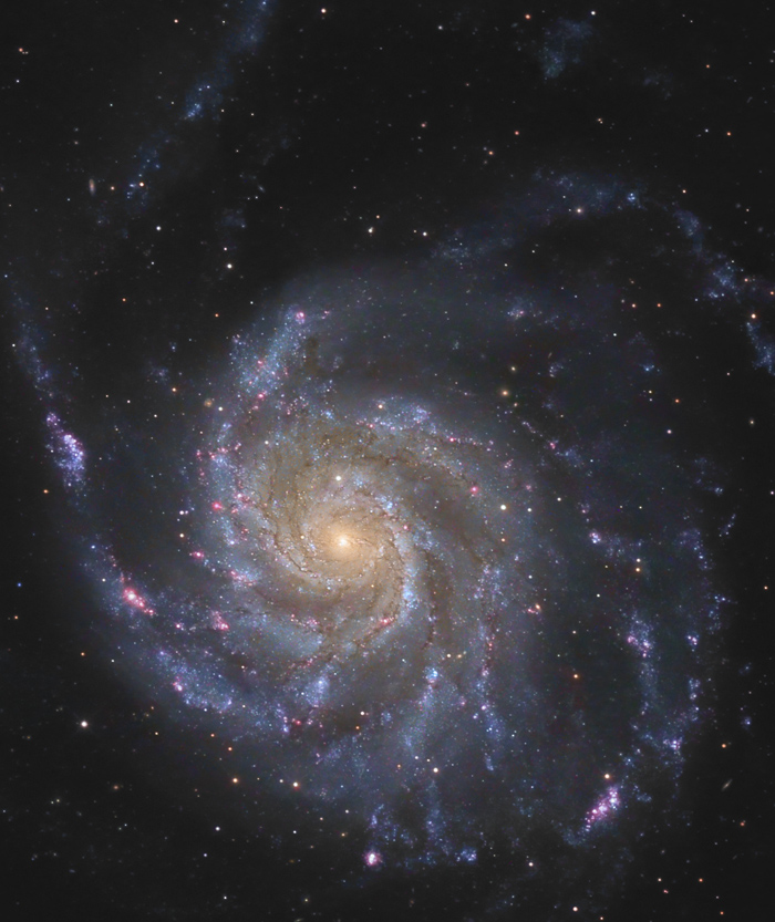 M101