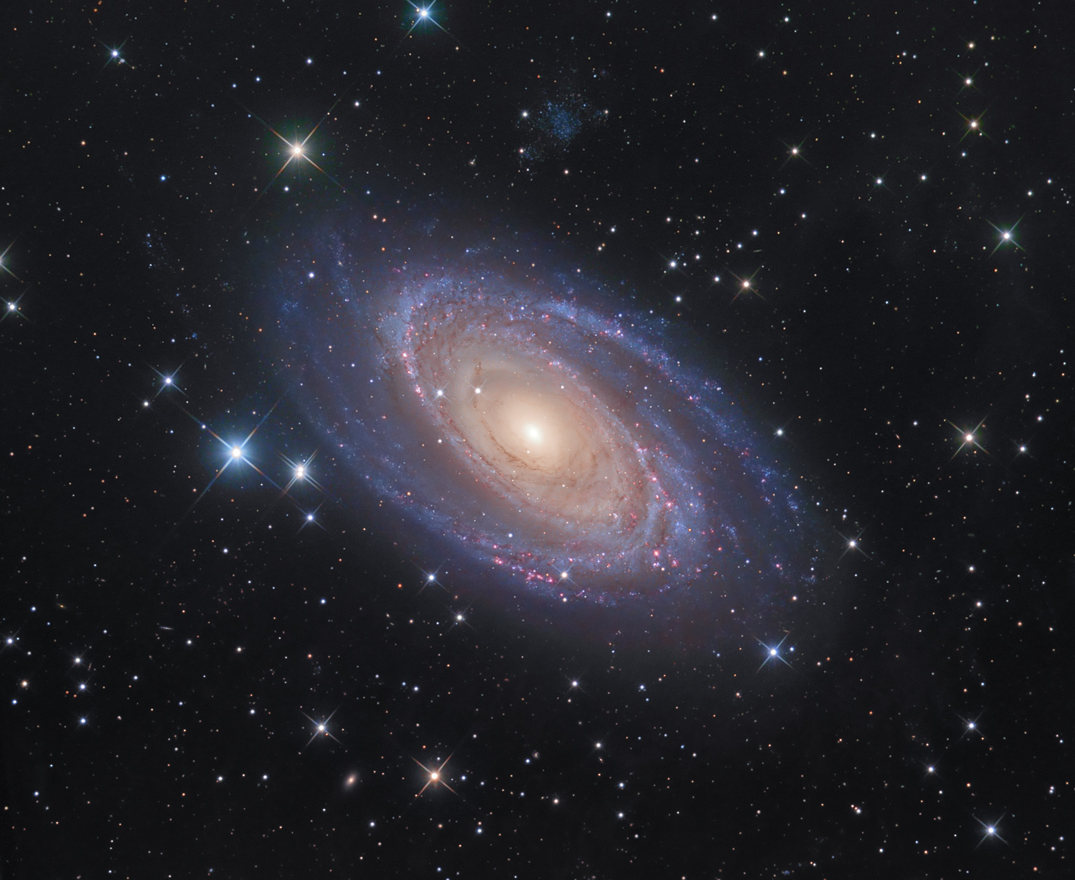 M81