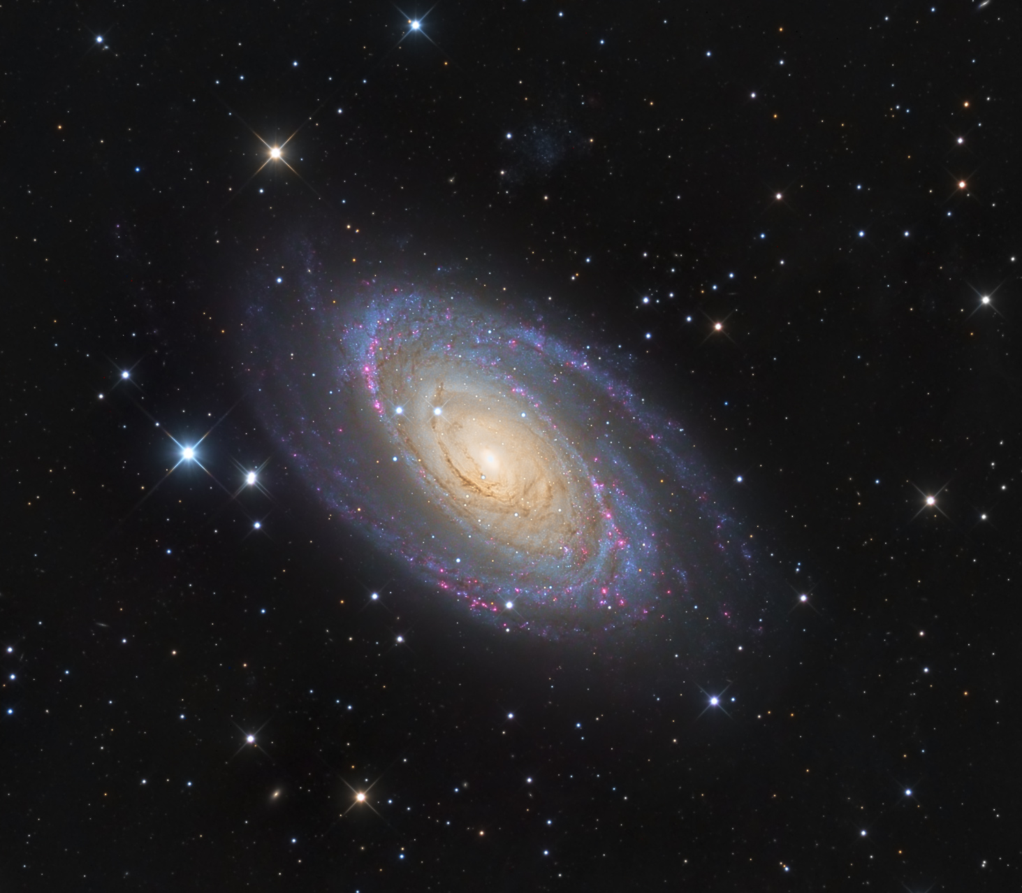 M81