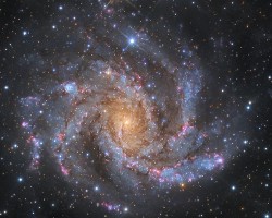 NGC6946