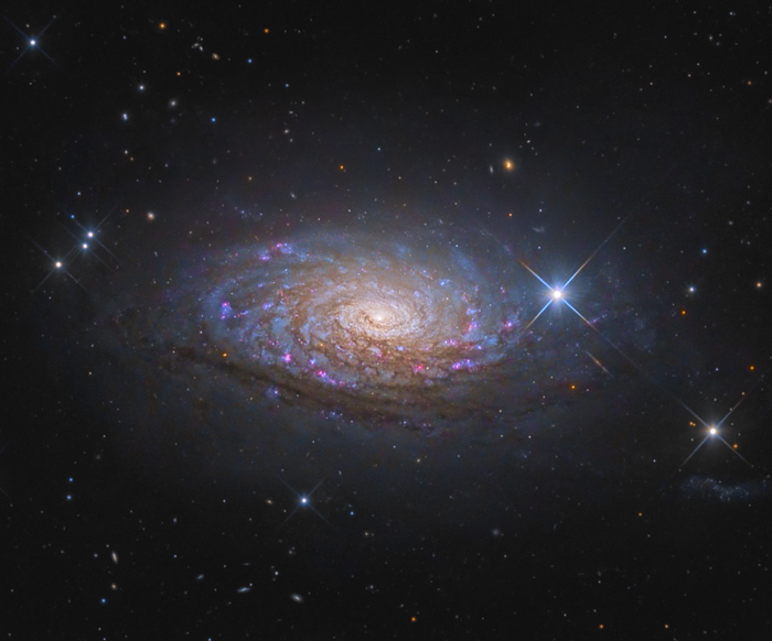 M63