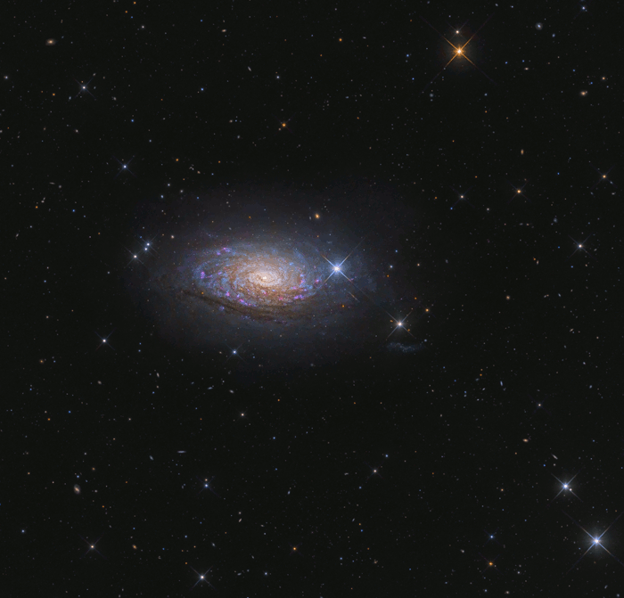 M63