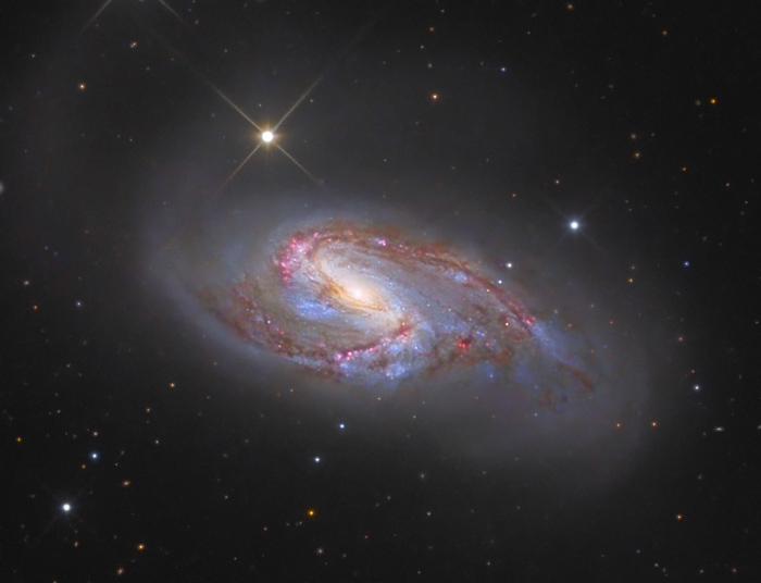 M65-M66