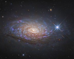 M63_2015