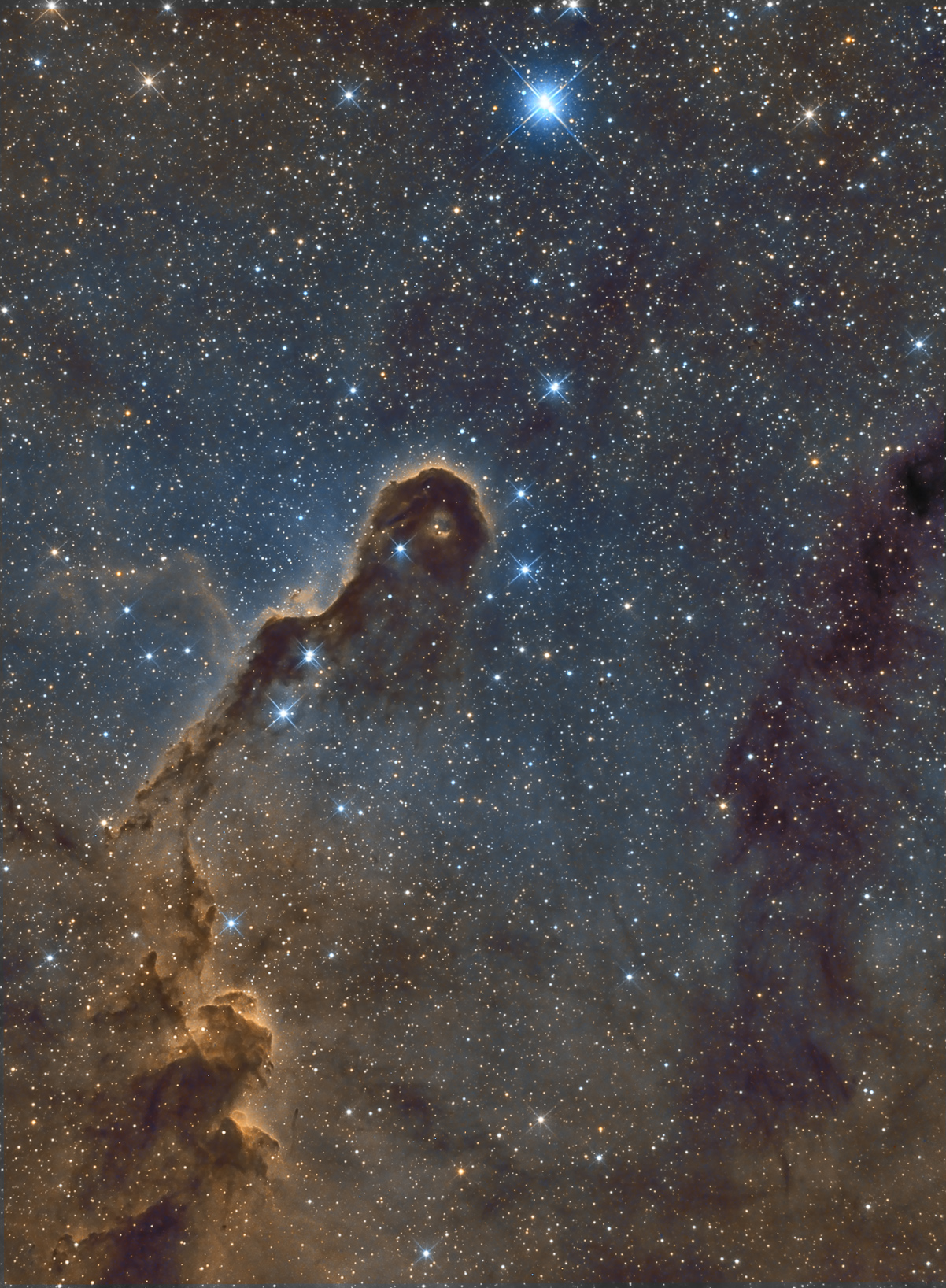 ic1396