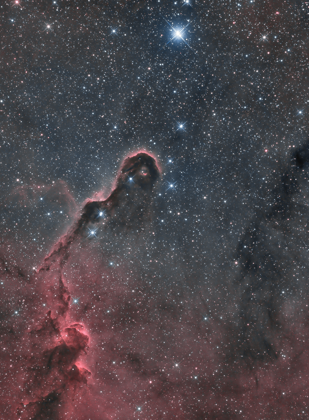 ic1396